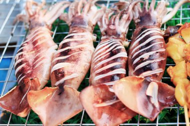 b-Barbekü Izgara kalamar piyasada