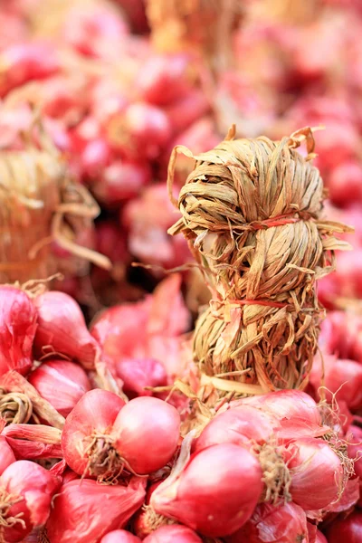 Mogyoróhagyma - Ázsia vörös hagyma piacon — Stock Fotó