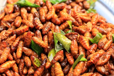 Kızarmış ipek piyasada solucanlar