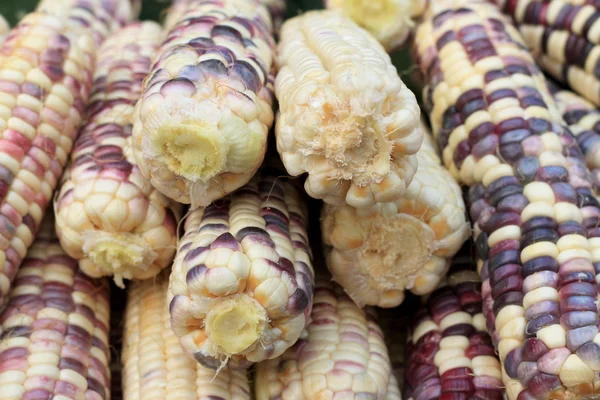 Maíz morado en el mercado — Foto de Stock