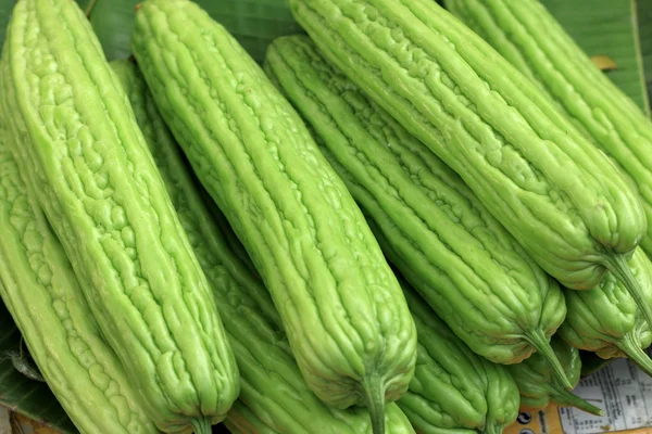 Gourd fresh vegetables on the market. — Stock Photo, Image