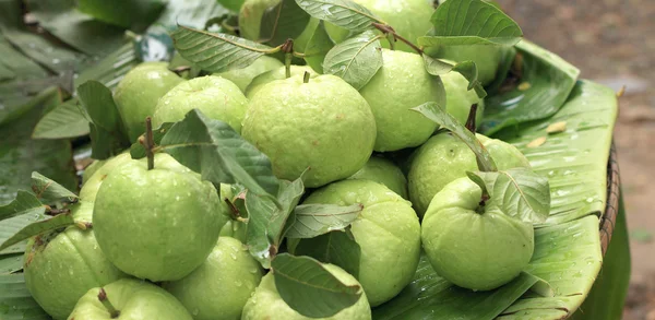 Guava frutta nel mercato — Foto Stock