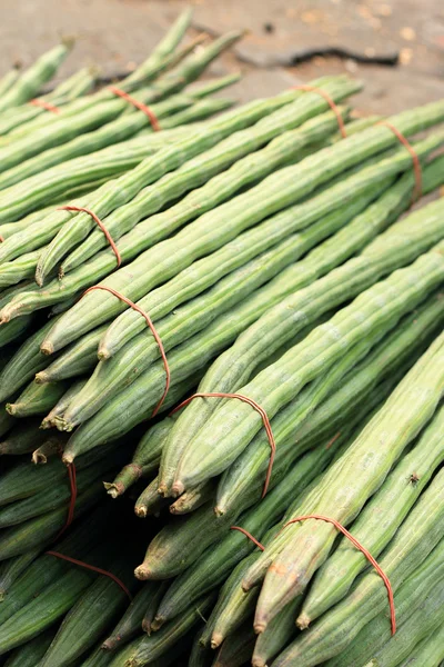 Moringa vegetable in the market — Stock Photo, Image