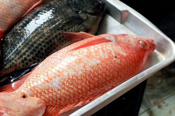 시장에 있는 싱싱 한 생선. — 스톡 사진
