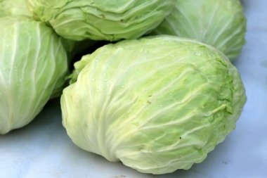 Pazarda taze lahana.