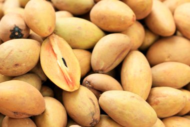 arka planda sapodilla meyve kazık.