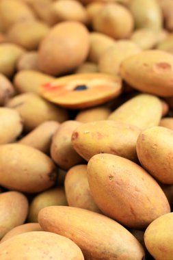 arka planda sapodilla meyve kazık.