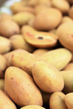 arka planda sapodilla meyve kazık.