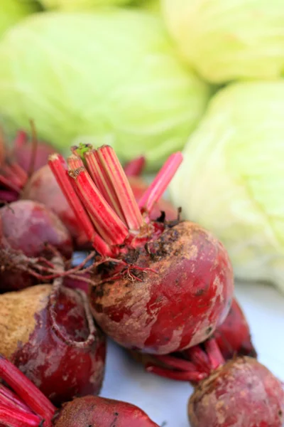 Close-ups of fresh beetroot at market — Stock Photo, Image