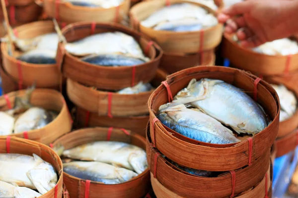 Makrill fisk på marknaden — Stockfoto