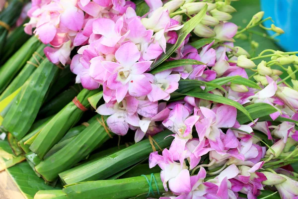 Pink orchids tied together at the market. — Stock Photo, Image