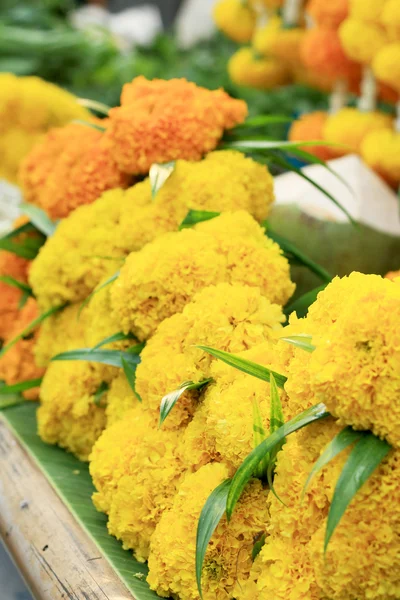 Flor de calêndula no mercado — Fotografia de Stock