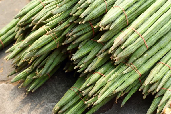 Légumes de Moringa sur le marché — Photo