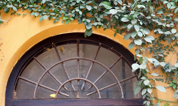 Het patroon vintage antieke deuren. — Stockfoto