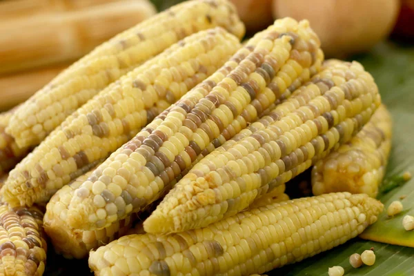 Maïs doux sur le marché — Photo