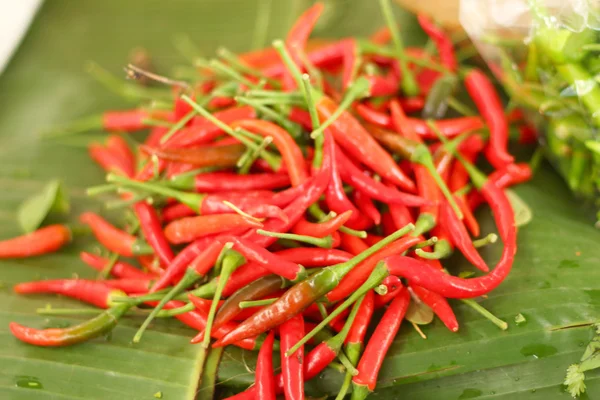 Red chili in the market — Stock Photo, Image