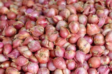 soğancık - Pazar Asya kırmızı soğan