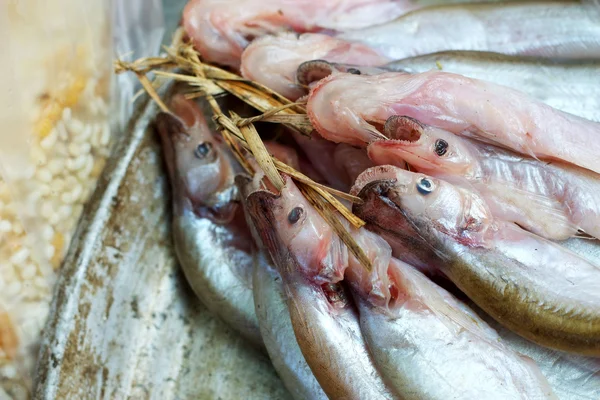 Färsk fisk på marknaden. — Stockfoto