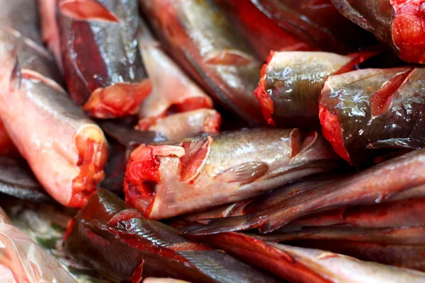 Pescado fresco en el mercado. — Foto de Stock