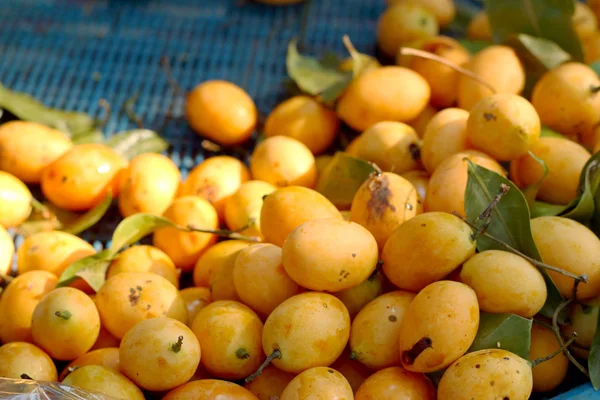 Marian švestka ovoce - ovoce Asie — Stock fotografie