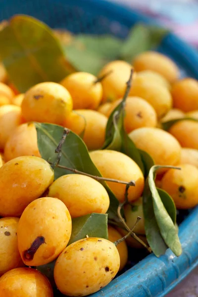 Marian pruim fruit - Azië vruchten — Stockfoto