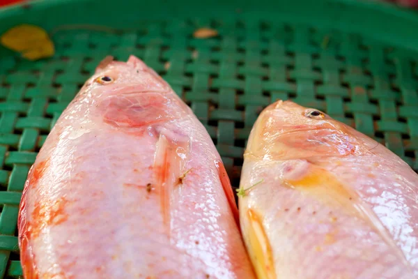 Pescado fresco en el mercado. — Foto de Stock