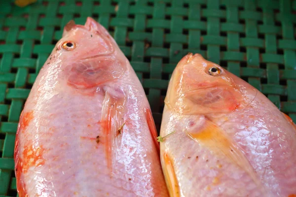 Świeże ryby na rynku. — Zdjęcie stockowe