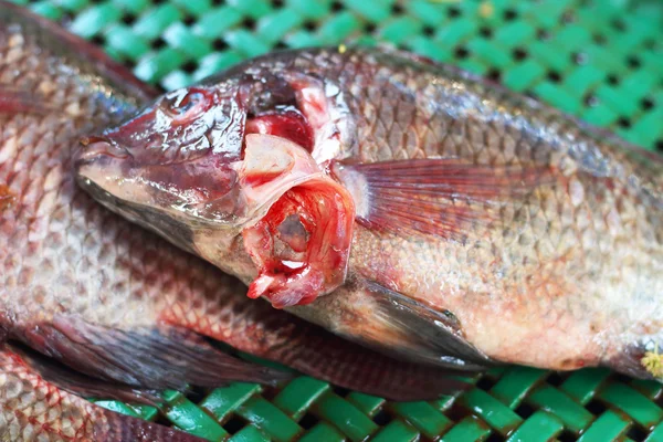 Färsk fisk på marknaden. — Stockfoto