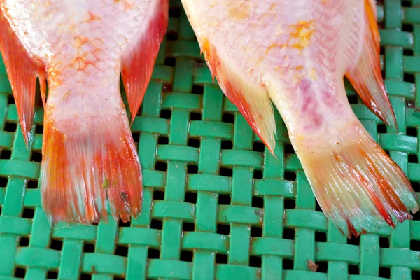 Färsk fisk på marknaden. — Stockfoto