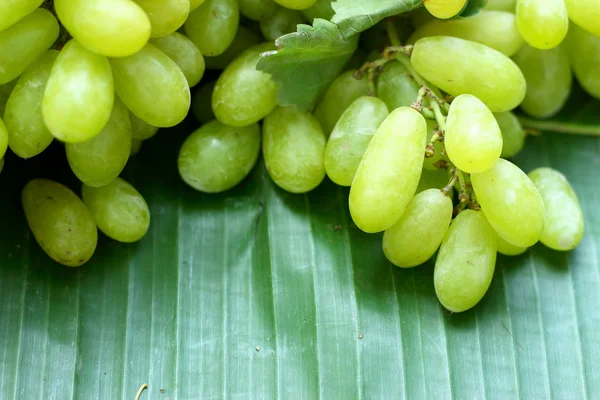 Frische Trauben auf grünen Bananenblättern — Stockfoto