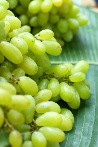 Uvas frescas sobre hojas de plátano verde — Foto de Stock