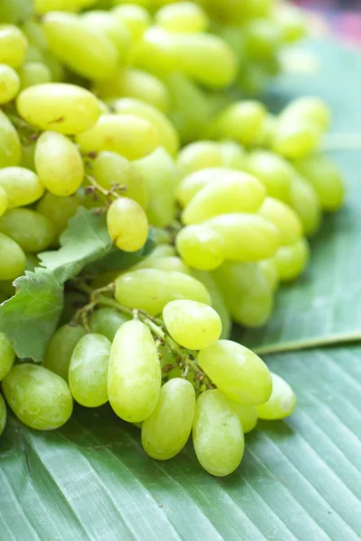 Uvas frescas sobre hojas de plátano verde — Foto de Stock