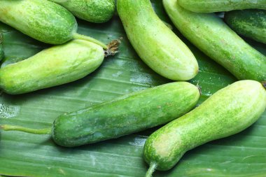 Pazar taze salatalık