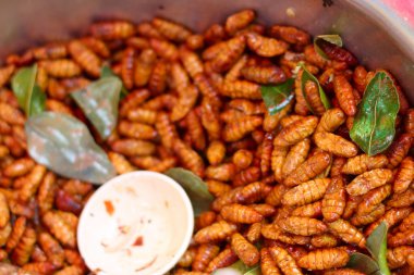 Kızarmış ipek piyasada solucanlar