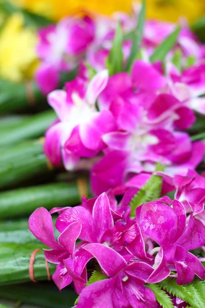 Rosa orkidéer bindas ihop på marknaden. — Stockfoto