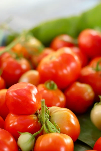 Frische Tomaten auf dem Markt — Stockfoto