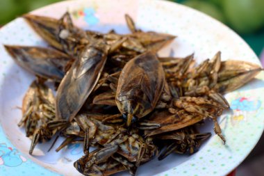 Kızarmış böcek yakın çekim