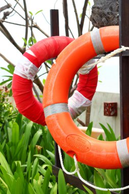 Yüzük şamandıra.