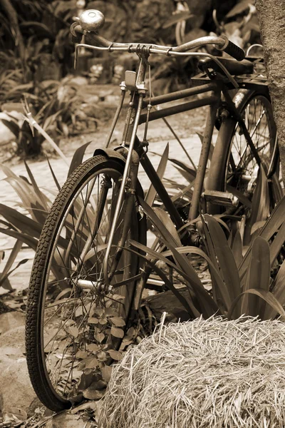 Primer plano de la vieja bicicleta vintage . — Foto de Stock