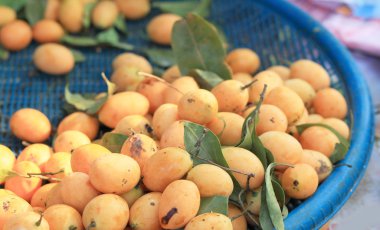 Marian Erik meyve - Asya meyve