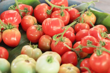 Pazarda taze domates