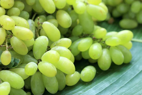 Uvas frescas sobre hojas de plátano verde — Foto de Stock