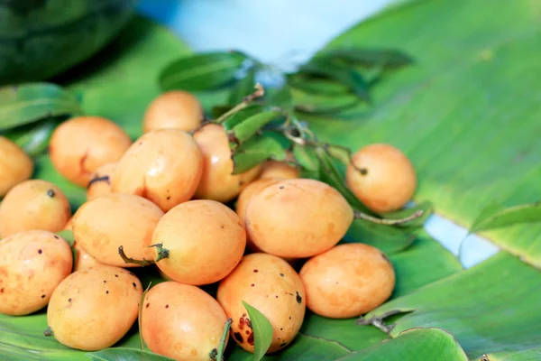 Fruta de ameixa mariana - fruto asiático — Fotografia de Stock