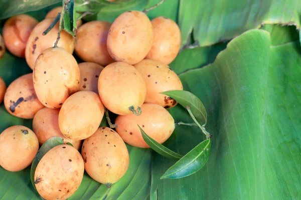 Marian pruim fruit - Azië vruchten — Stockfoto