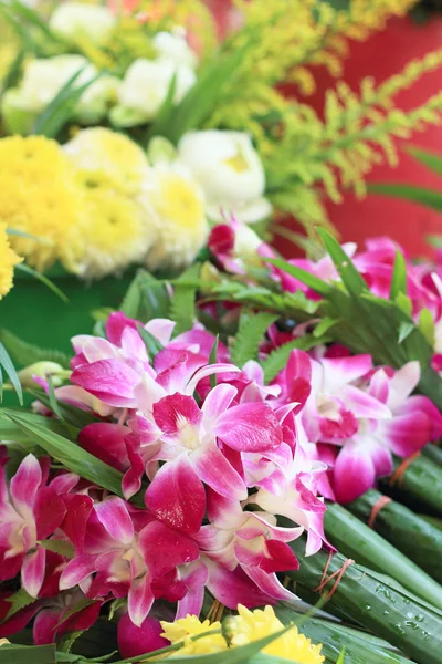 Roze orchideeën samengebonden op de markt. — Stockfoto