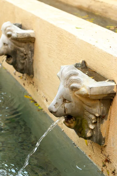 Estatua de león escupiendo agua - estilo vintage —  Fotos de Stock