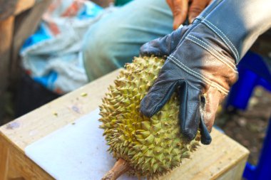 Durian meyvesi pazarda