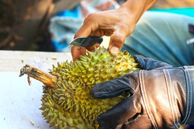 Durian meyvesi pazarda