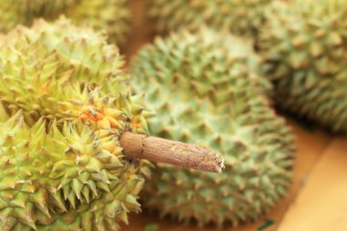 Durian meyvesi pazarda