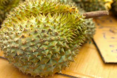 Durian meyvesi pazarda